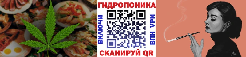 Купить закладки  Кудымкар  Canna-Cookies марихуана 