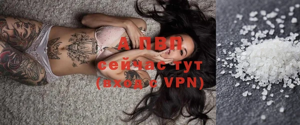 спиды Волосово