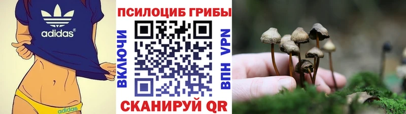 Псилоцибиновые грибы мухоморы  Купить где  Кудымкар 